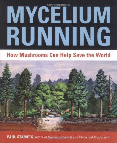 Mycelium Running: How Mushrooms Can Help Save the World