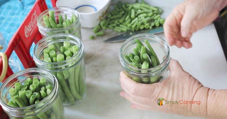 Packing Dilly Beans – SimplyCanning